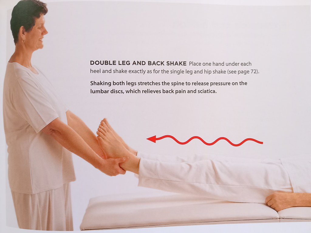 Maria Mercati, Double-leg and Back Shake